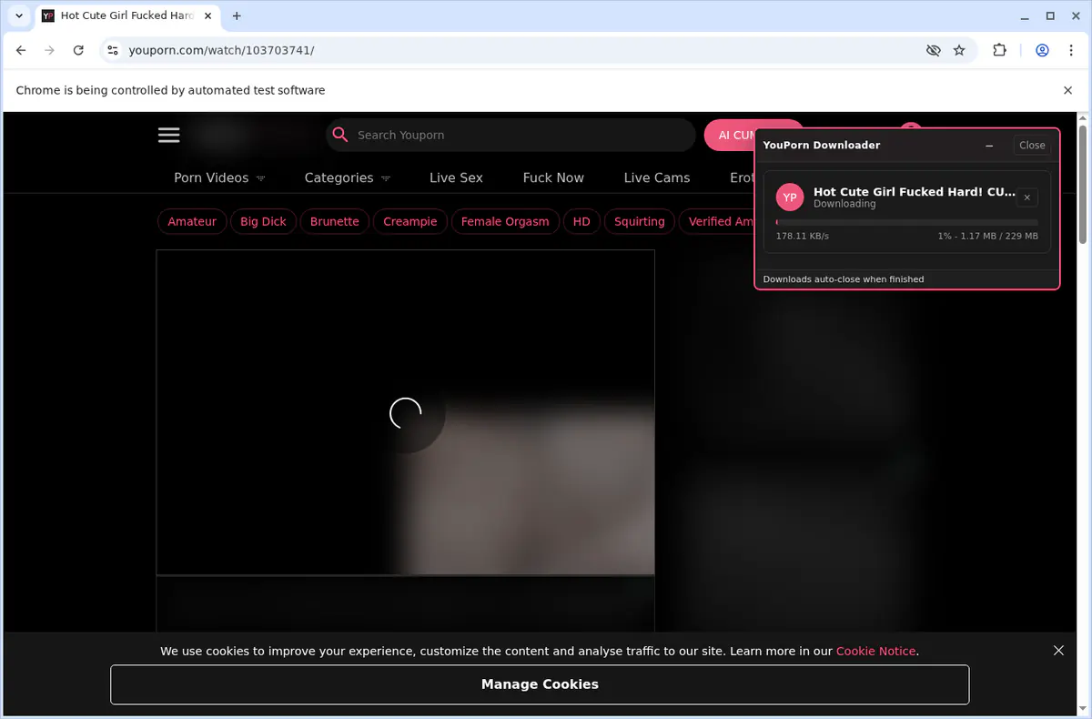 YouPorn Video Downloader screenshot 8