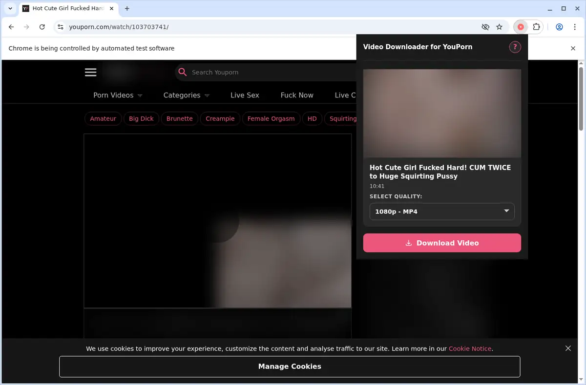 YouPorn Video Downloader screenshot 9